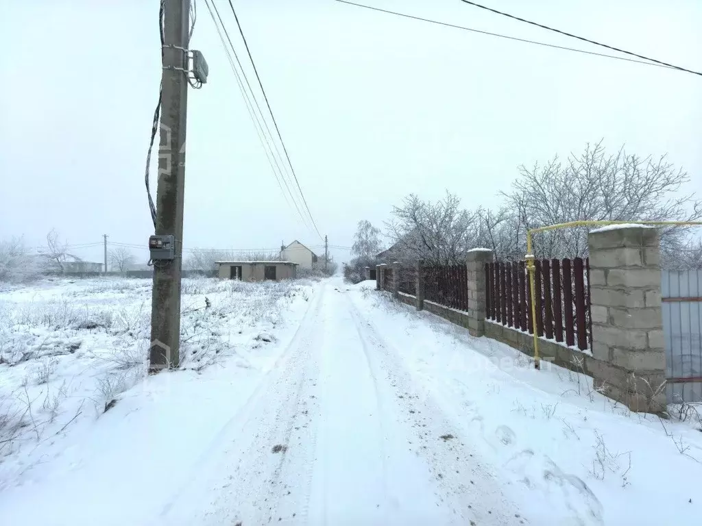 Участок в Волгоградская область, Городищенский район, Царицынское ... - Фото 2