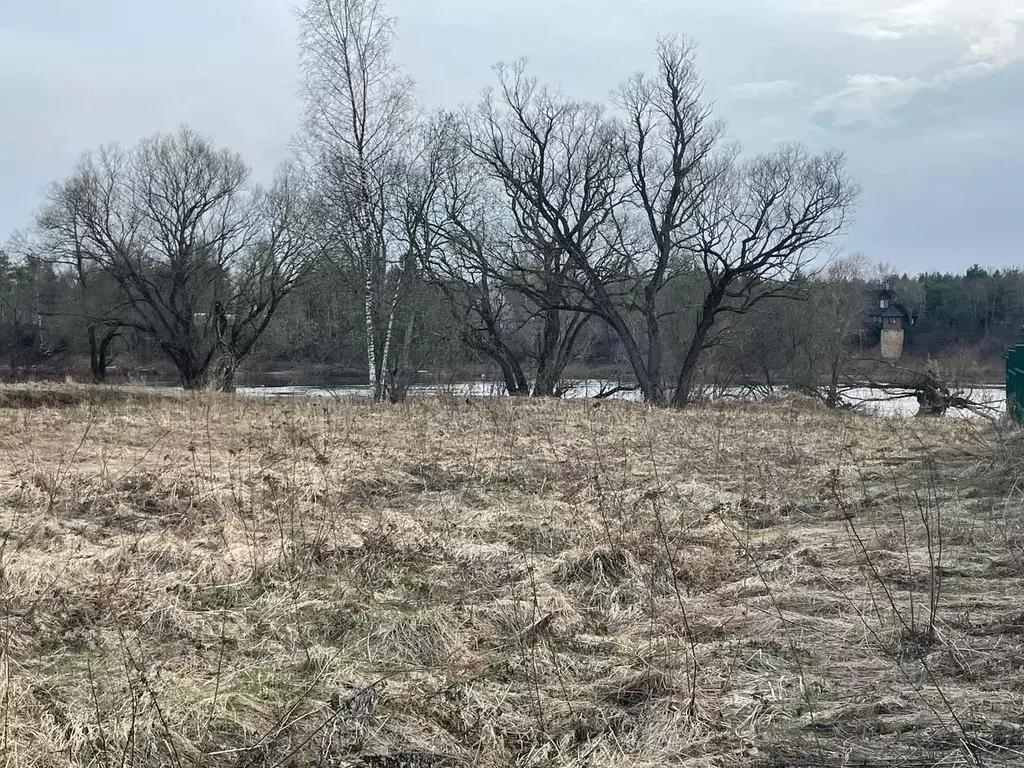 Участок в Новгородская область, Новгородский район, Савинское с/пос, ... - Фото 2