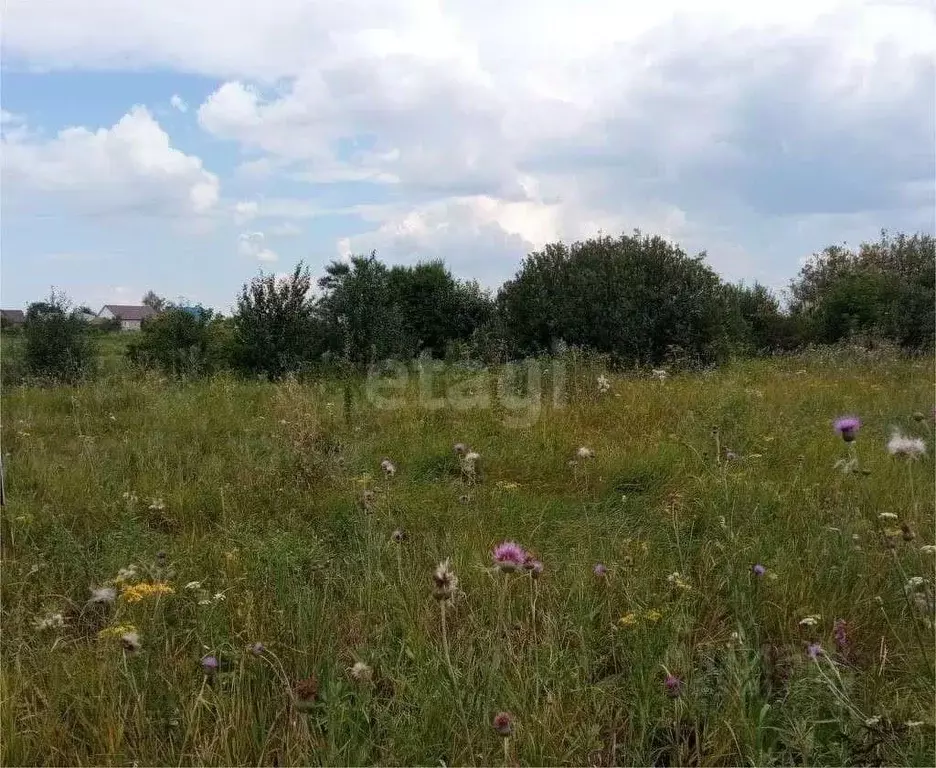 Участок в Воронежская область, Воронеж Сосна СНТ, ул. 3-я, 150 (6.0 ... - Фото 0