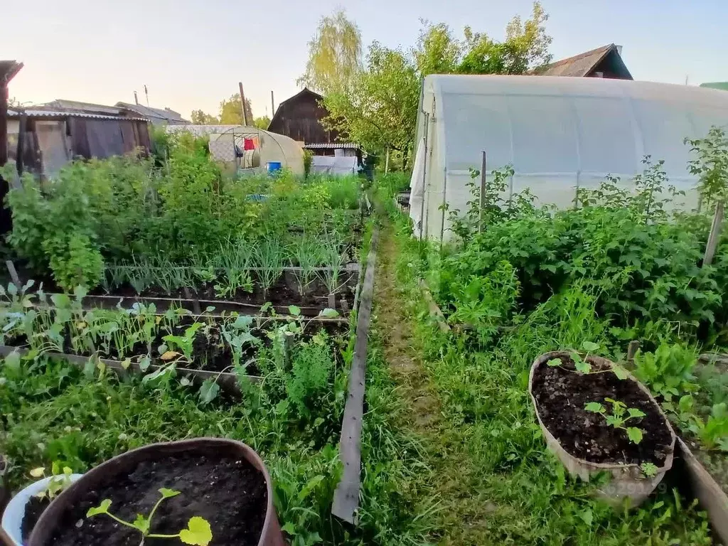 Дом в Свердловская область, Нижний Тагил Имени Тимирязева СНТ,  (50 м) - Фото 1