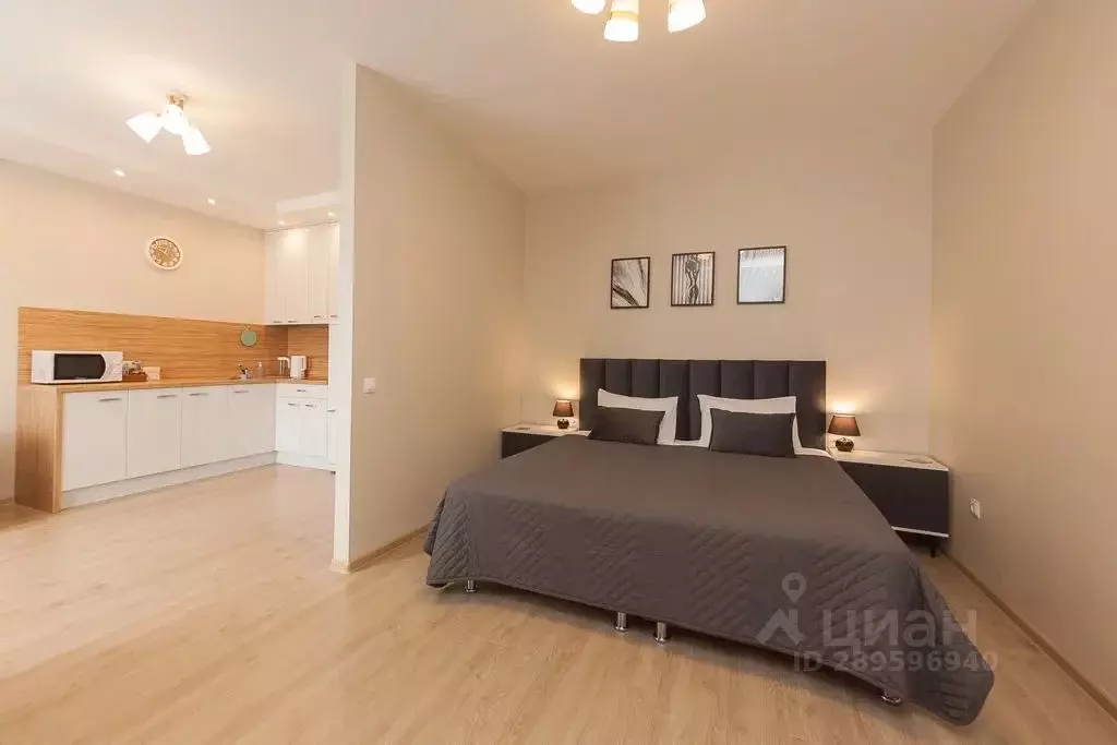 Студия Карелия, Петрозаводск ул. Еремеева, 38 (38.0 м) - Фото 1