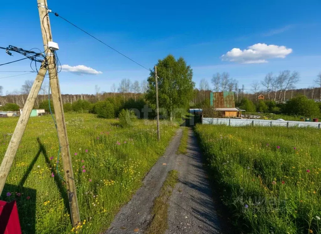 Участок в Тюменская область, Тюмень Лаванда садовое товарищество, ул. ... - Фото 1