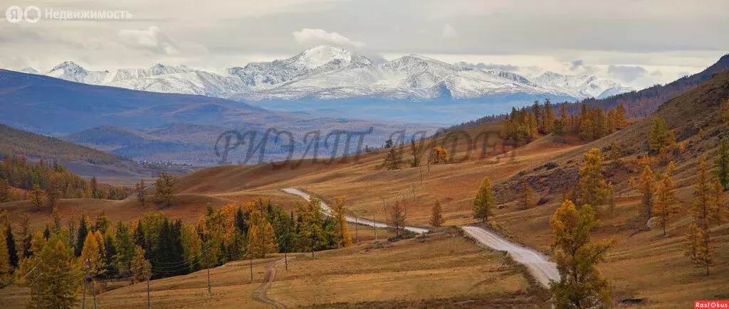 Участок в Улаганский район, село Балыкча (10 м) - Фото 1