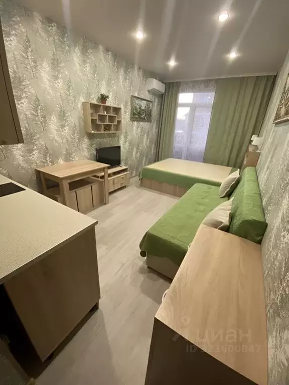 1-к кв. Краснодарский край, Горячий Ключ Рябиновая ул., 2Вк2 (26.0 м) - Фото 1