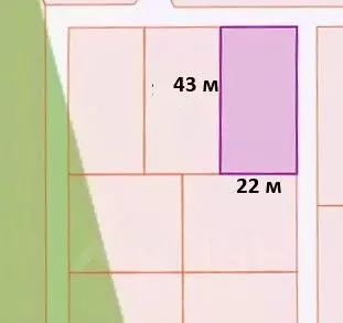 Участок в Москва № 452 кв-л,  (10.0 сот.) - Фото 2