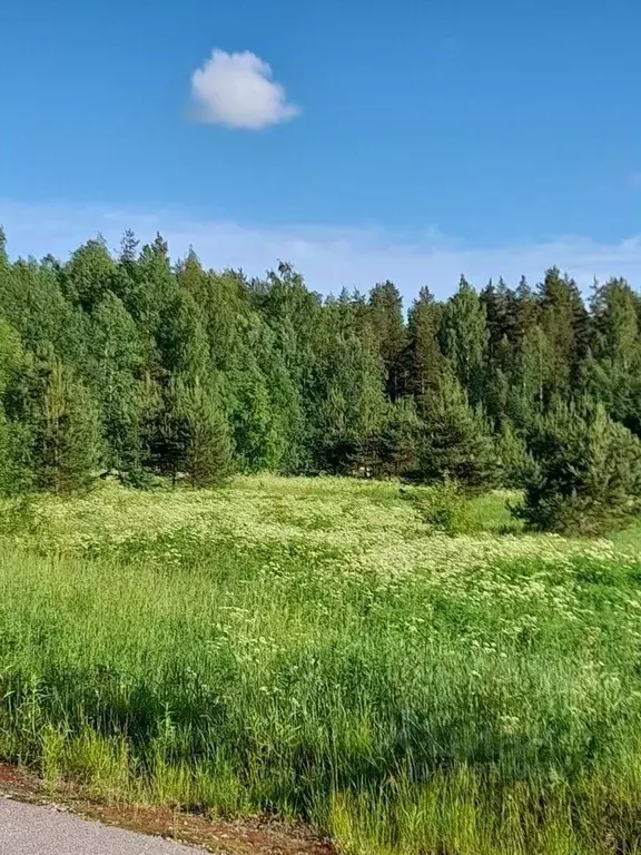 Участок в Ленинградская область, Выборгский район, Гончаровское с/пос, ... - Фото 2
