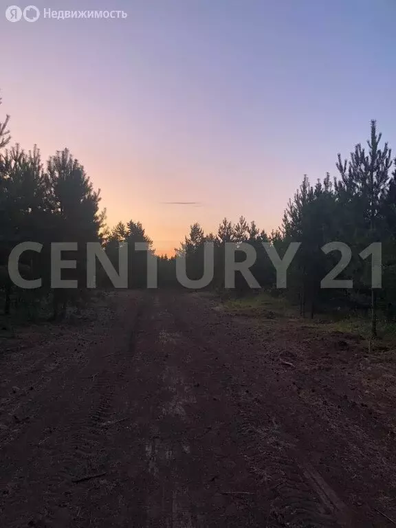 Участок в Чердаклинский район, Крестовогородищенское сельское ... - Фото 0