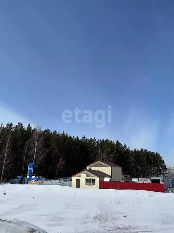 Участок в Новосибирская область, Новосибирский район, Станционный ... - Фото 0