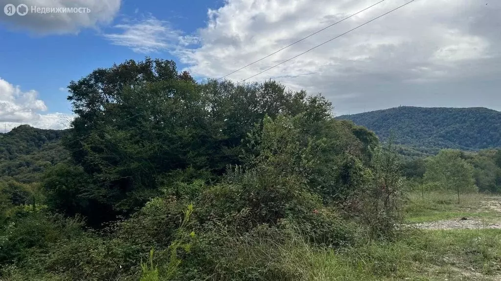 Участок в Краснодарский край, городской округ Сочи, село ... - Фото 1