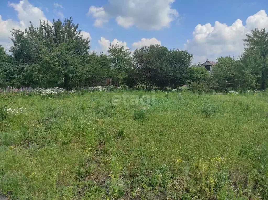 Участок в Липецкая область, Липецк Мечта СНП, 490 (6.0 сот.) - Фото 2