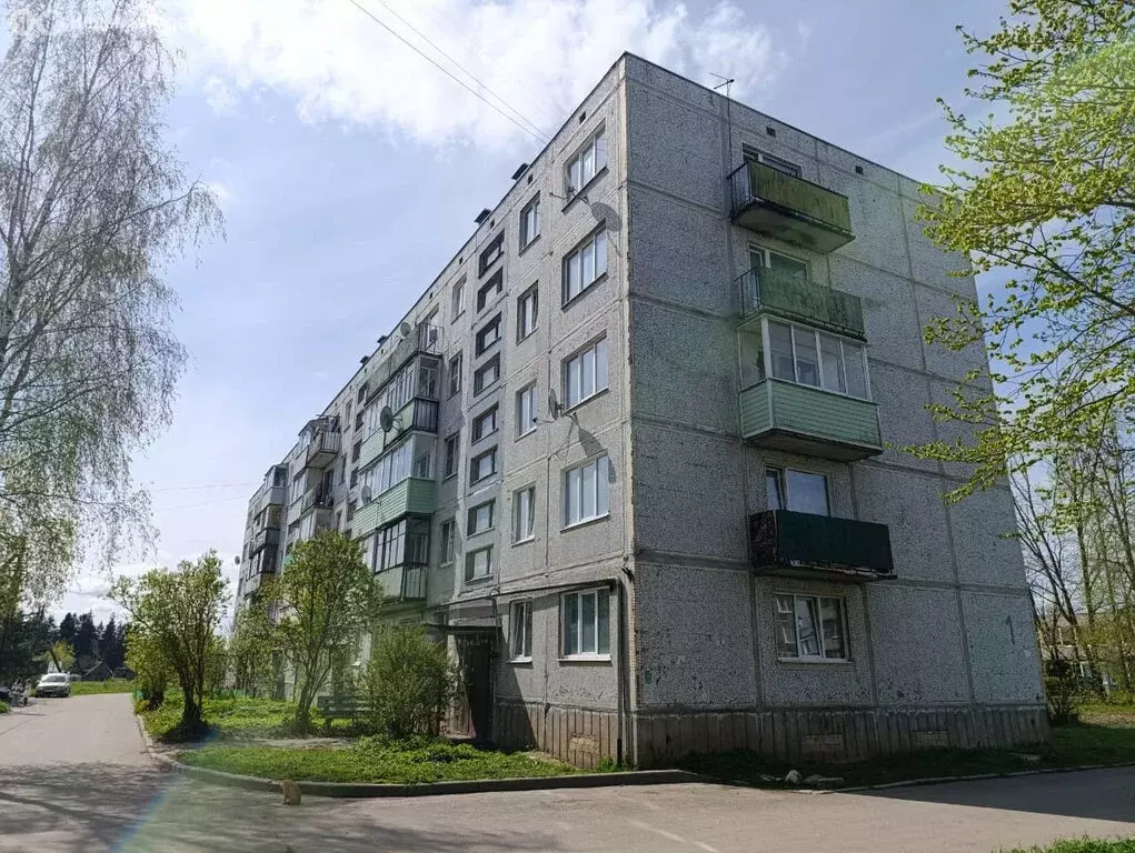 2-комнатная квартира: деревня Курковицы, 1 (47.2 м) - Фото 0