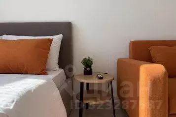 1-к кв. Свердловская область, Екатеринбург ул. Фрунзе, 31/2 (26.0 м) - Фото 1