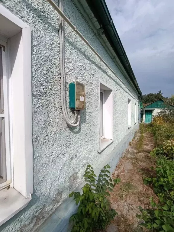 2-к кв. Воронежская область, Рамонское городское поселение, пос. Бор ... - Фото 1