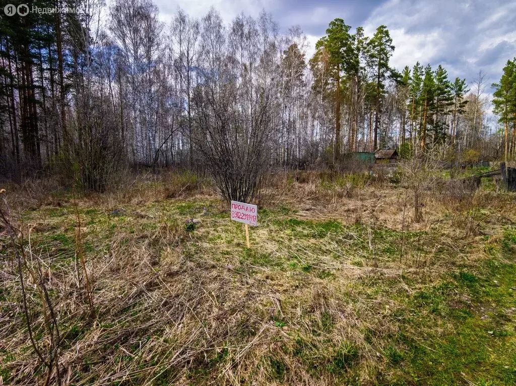 Участок в посёлок городского типа Рефтинский, коллективный сад ... - Фото 2