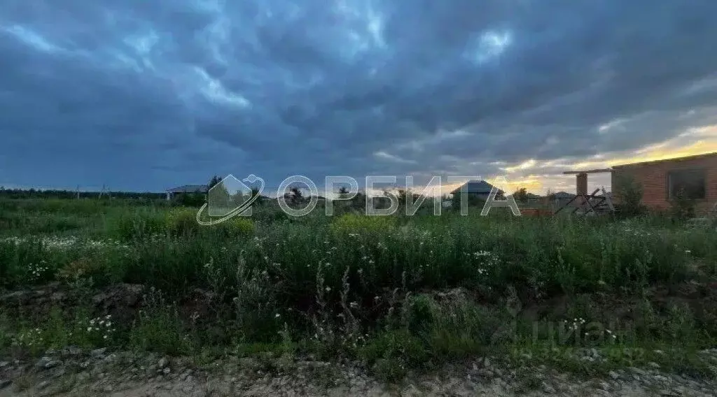 Участок в Тюменская область, Тюменский муниципальный округ, с. Успенка ... - Фото 2