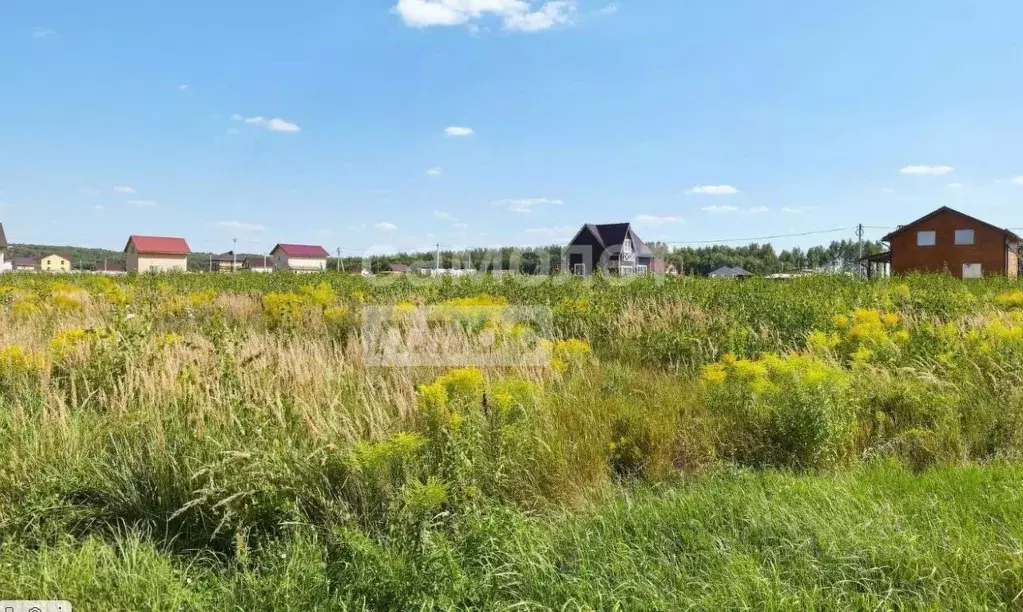 Участок в Нижегородская область, Богородский муниципальный округ, д. ... - Фото 0