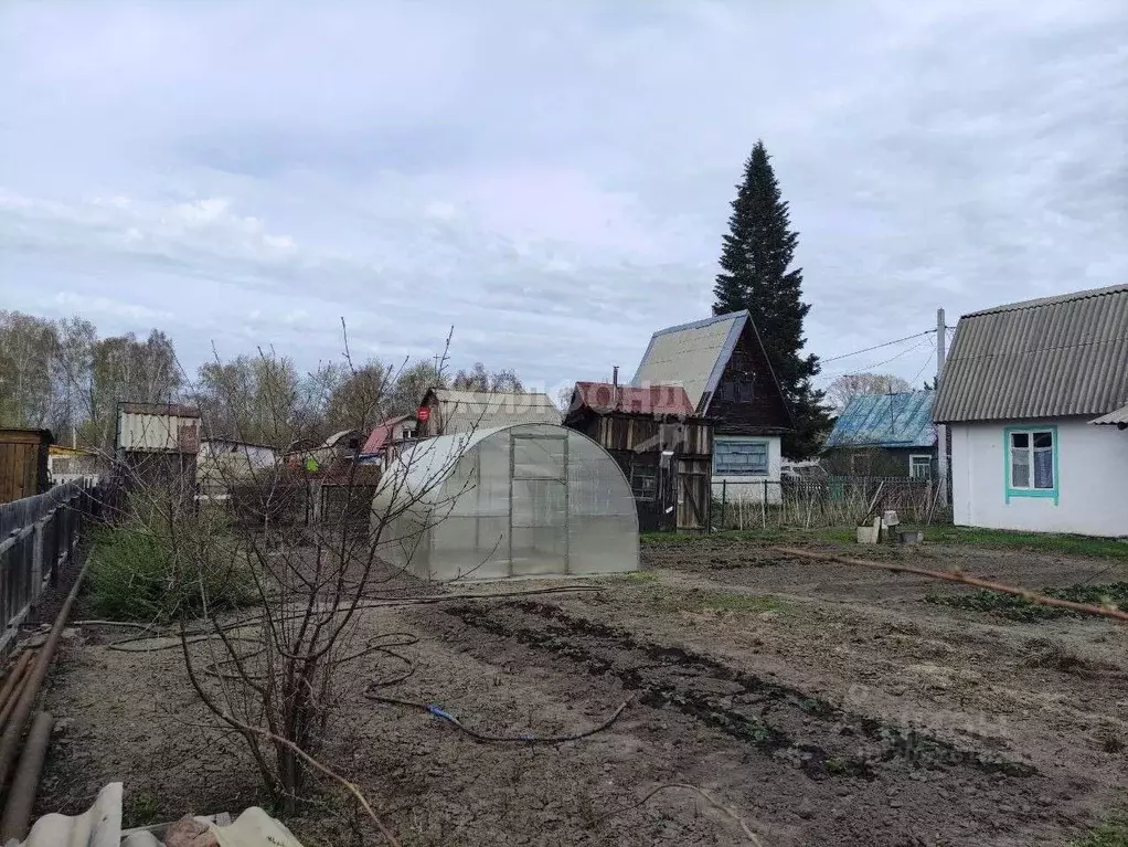 Дом в Новосибирская область, Новосибирский район, Толмачевский ... - Фото 1