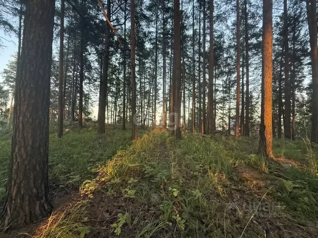 Участок в Свердловская область, Верхняя Пышма городской округ, пос. ... - Фото 1