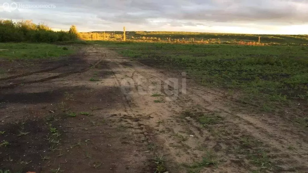 Участок в Воронежская область, Калач (1636.9 м) - Фото 1