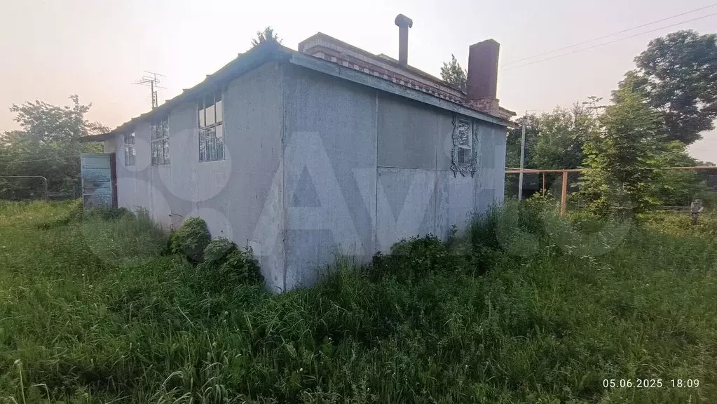 Дом 53,8 м на участке 46 сот. - Фото 1