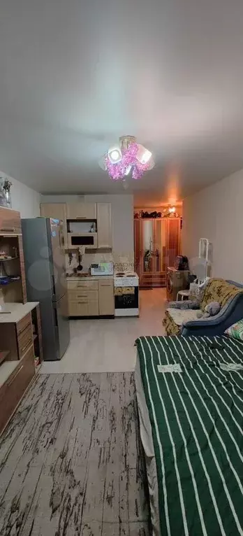 Квартира-студия, 26,6 м, 7/16 эт. - Фото 1