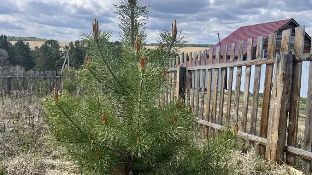 Участок в Иркутская область, Иркутский муниципальный округ, с. ... - Фото 0