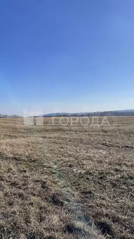 Участок 12,9 сот. (ИЖС) - Фото 1