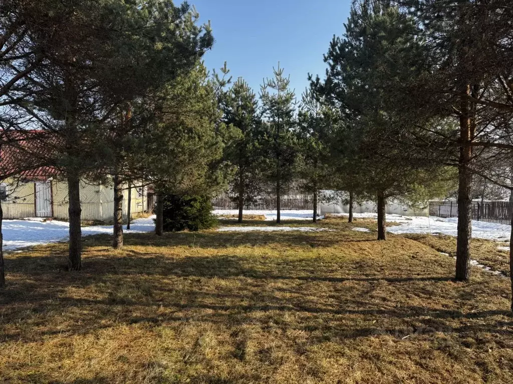 Участок в Ленинградская область, Тосненский район, Лисинское с/пос, д. ... - Фото 1