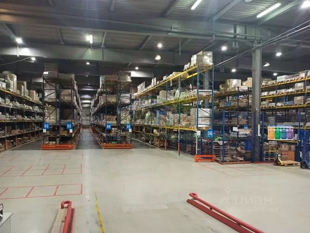 Склад в Новосибирская область, Новосибирск ул. Петухова, 2 (3100 м) - Фото 2