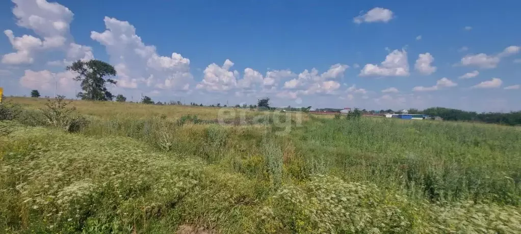 Участок в Воронежская область, Борисоглебский городской округ, с. ... - Фото 2