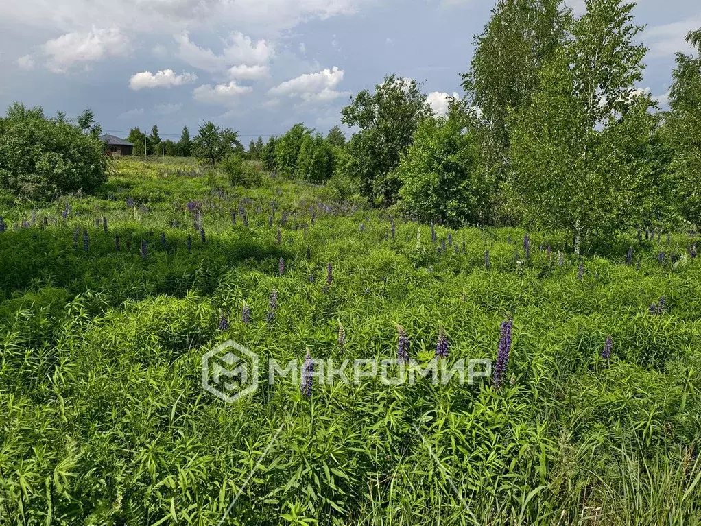Участок в Брянская область, Брянский район, Добрунское с/пос, Полет ... - Фото 1