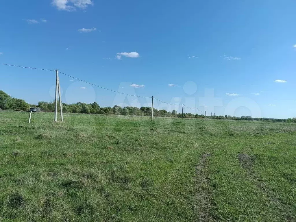 Участок 12,5 сот. (личное подсобное хозяйство (лпх)) - Фото 0