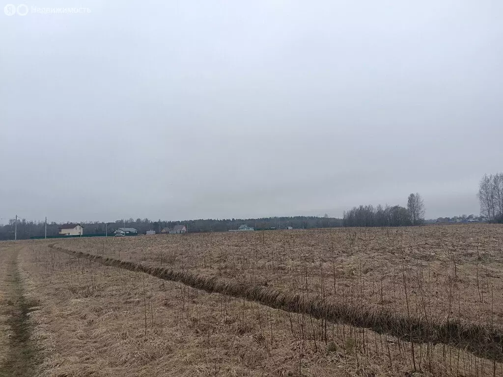 Участок в Савинское сельское поселение, деревня Сопки, Береговая улица ... - Фото 0