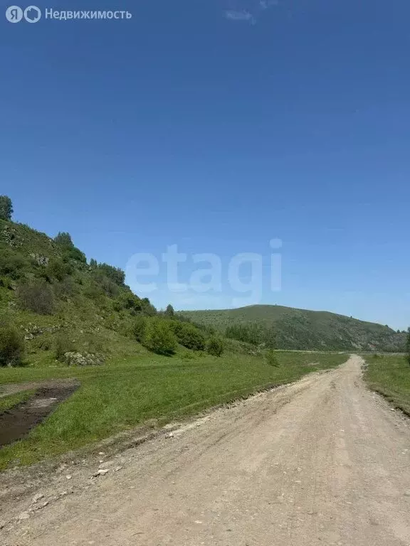 Участок в Алтайский район, Айский сельсовет, село Ая (240 м) - Фото 1
