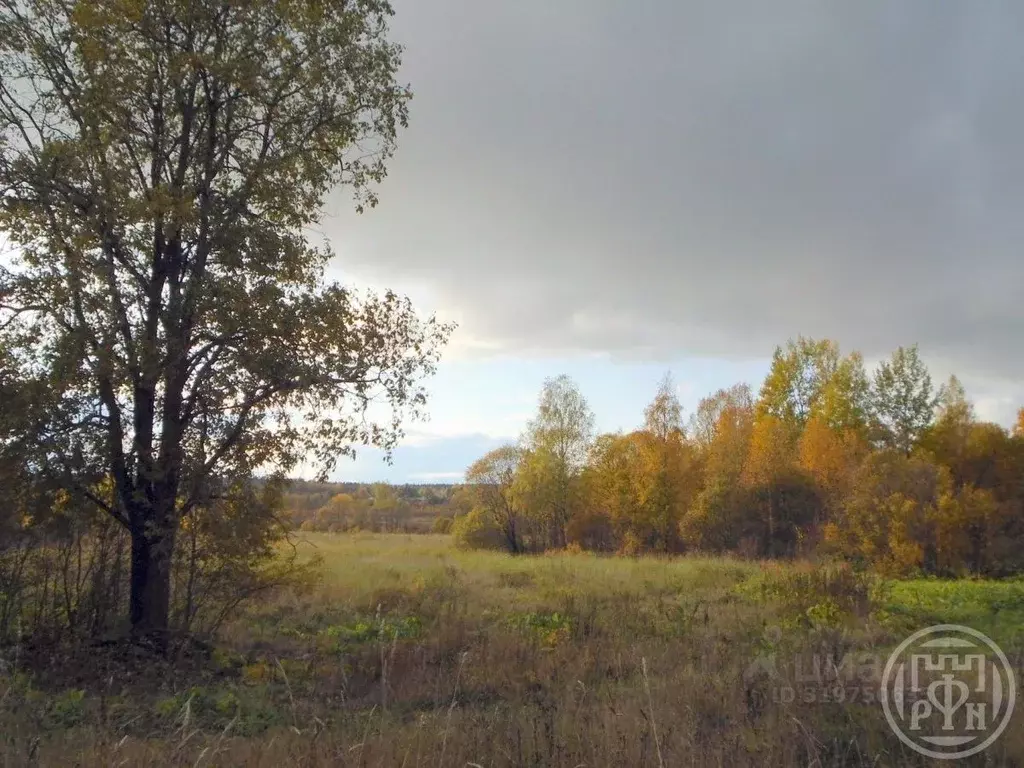 Участок в Ленинградская область, Выборгский район, Красносельское ... - Фото 1