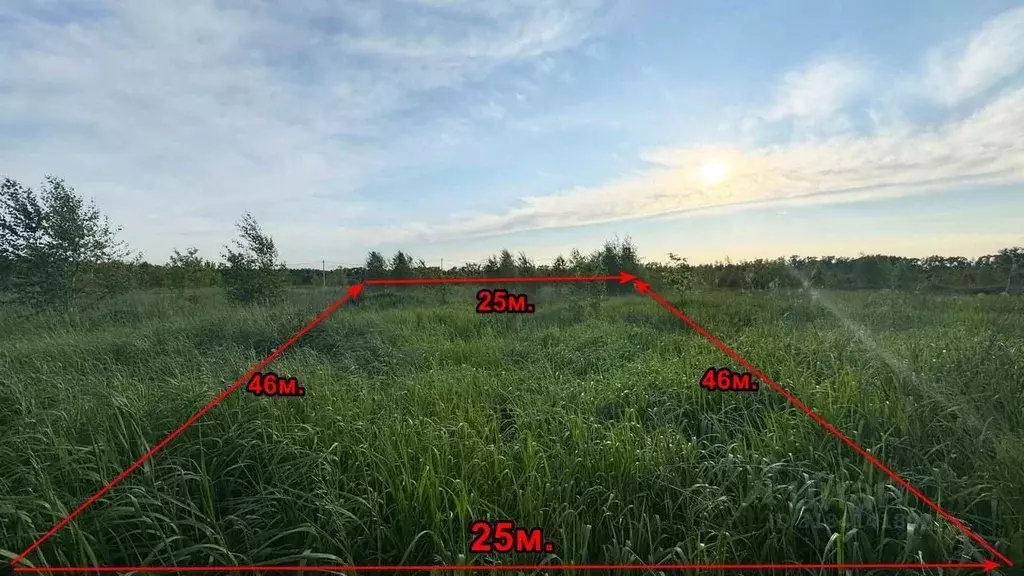Участок в Московская область, Коломна городской округ, с. Черкизово  ... - Фото 1