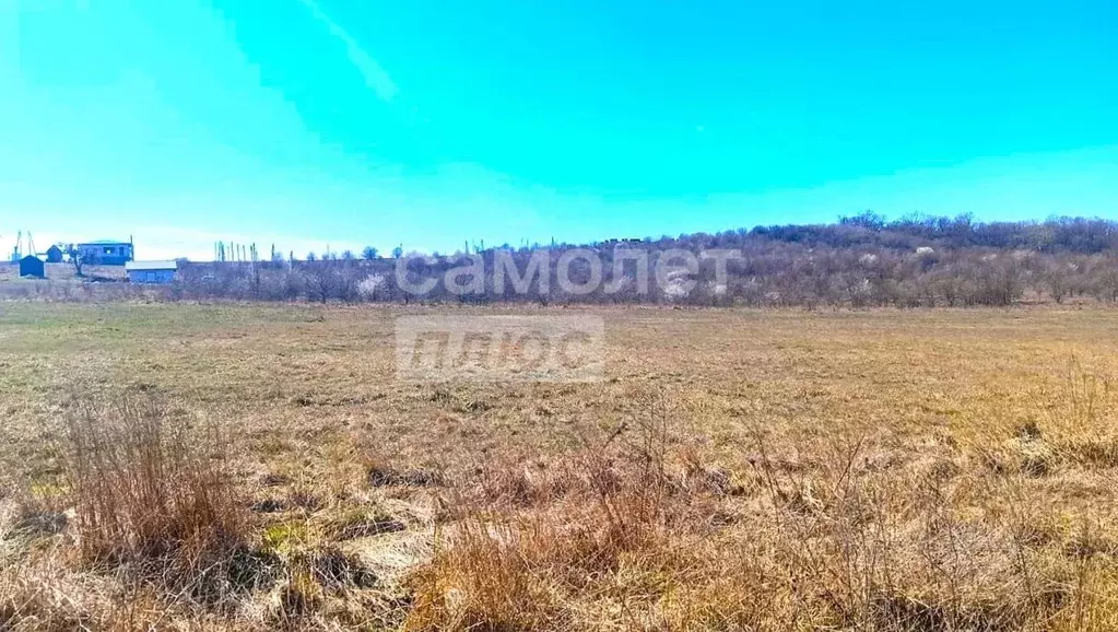 Участок в Краснодарский край, Крымский район, с. Молдаванское ул. ... - Фото 1