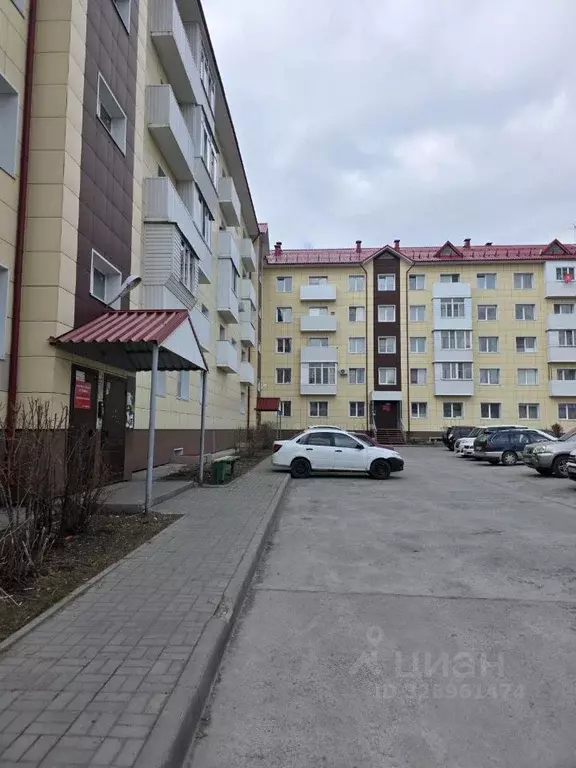Студия Алтайский край, Бийск ул. Георгия Прибыткова, 10/1 (25.0 м) - Фото 1
