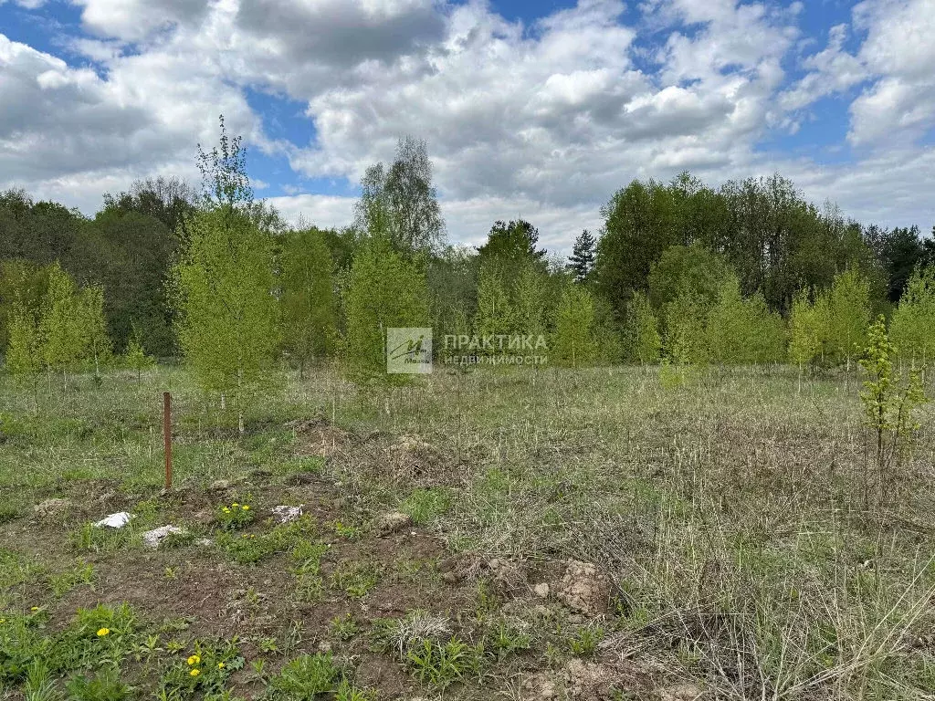 Продается участок в с. Ромашково - Фото 2