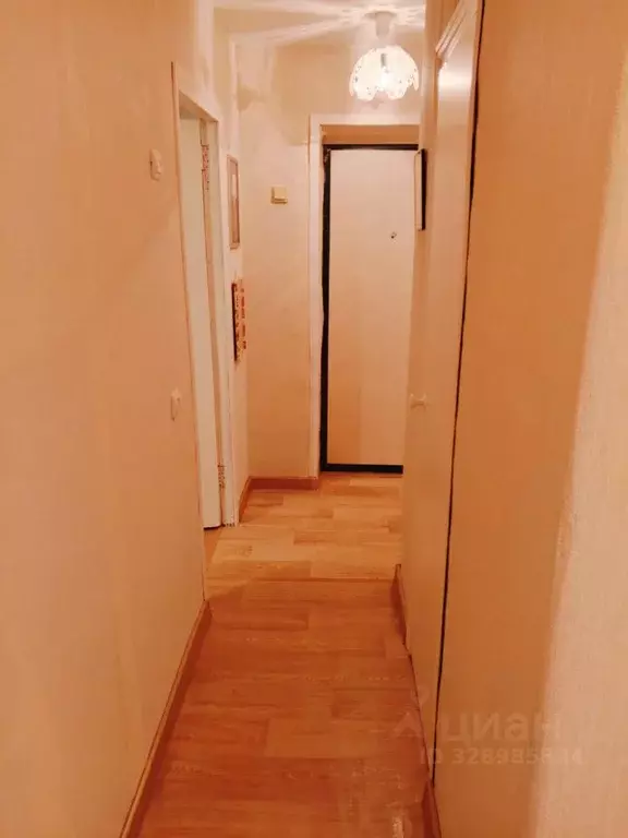 1-к кв. Ярославская область, Ярославль ул. Урицкого, 59 (30.0 м) - Фото 2