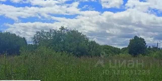 Участок в Московская область, Дмитровский муниципальный округ, пос. ... - Фото 1