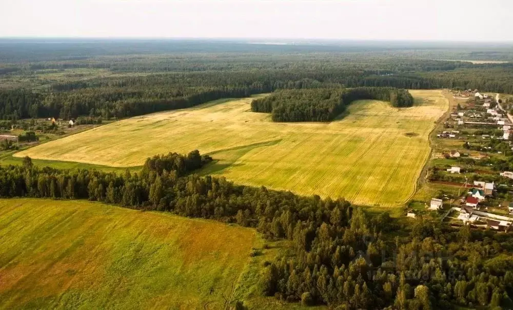 Участок в Московская область, Домодедово городской округ, д. ... - Фото 0