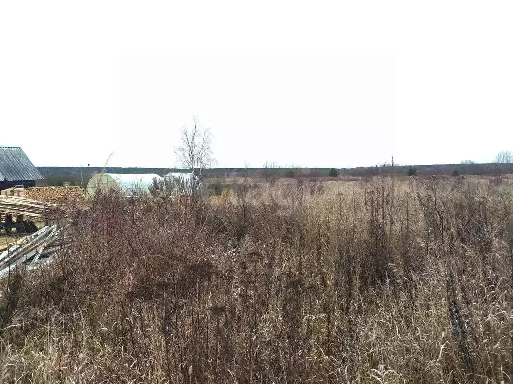 Участок в Вологодская область, Великоустюгский муниципальный округ, д. ... - Фото 1