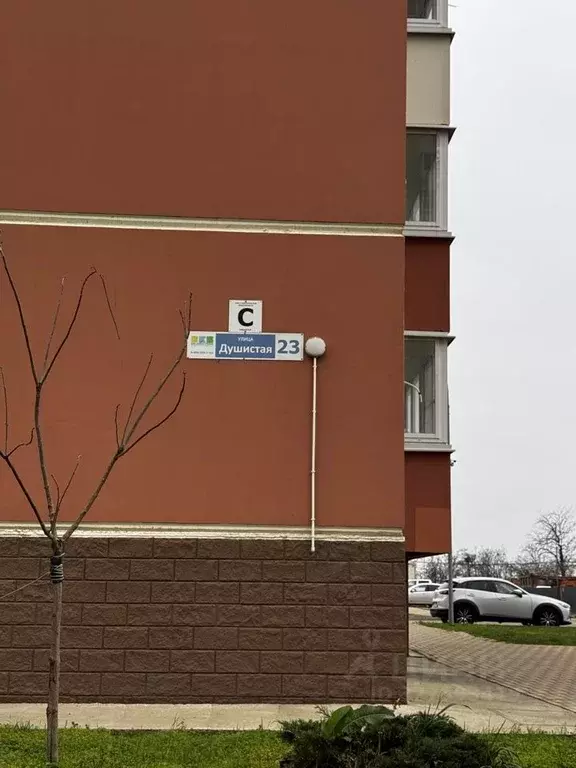 Помещение свободного назначения в Краснодарский край, Краснодар ул. ... - Фото 2