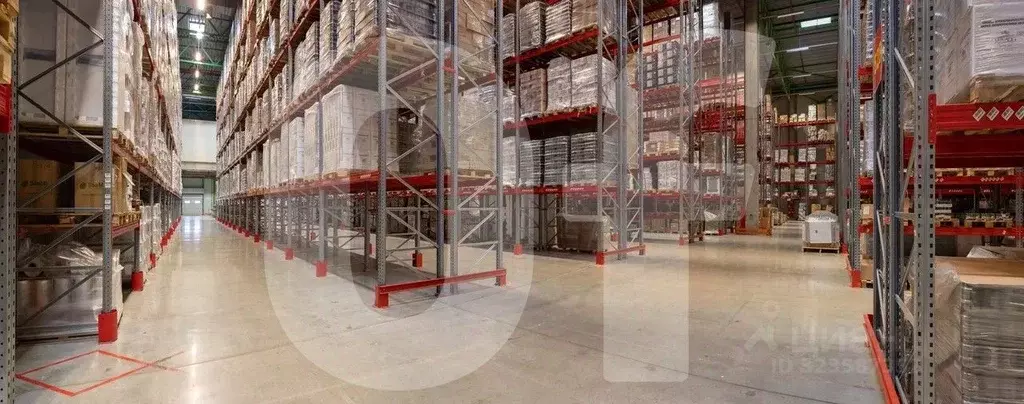 Склад в Московская область, Домодедово Востряково мкр, ул. Рябиновая, ... - Фото 2