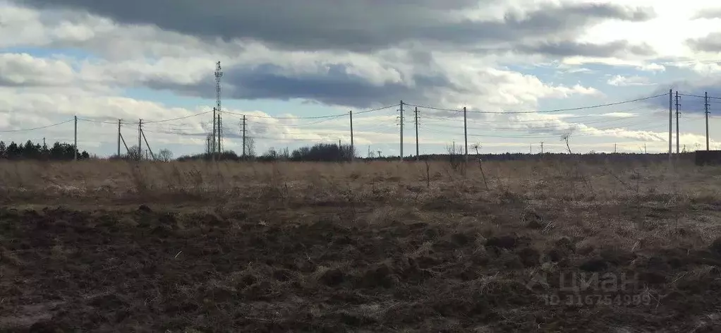 Участок в Московская область, Талдомский городской округ, д. Танино  ... - Фото 1