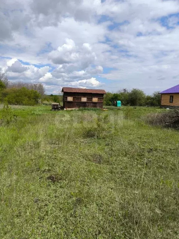 Участок в Белгородская область, Яковлевский муниципальный округ, Нива ... - Фото 0
