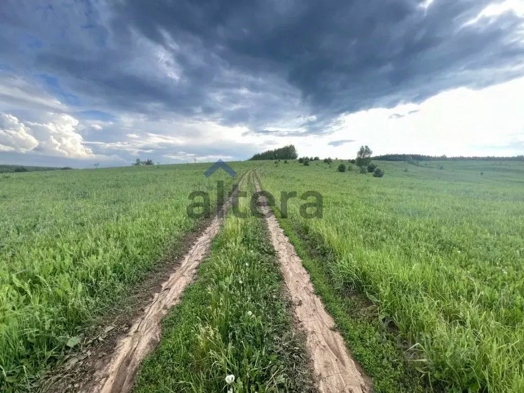 Участок в Татарстан, Высокогорский район, с. Мемдель ул. Галиаскара ... - Фото 0