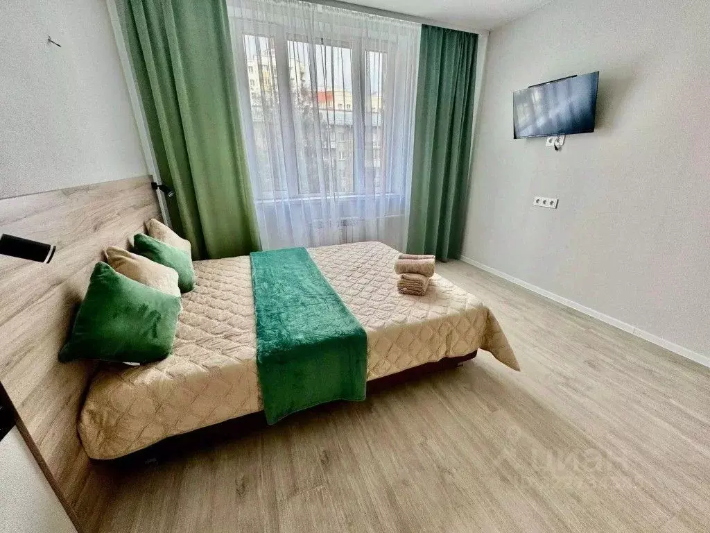 1-к кв. Новосибирская область, Новосибирск ул. Кирова, 113/2 (30.0 м) - Фото 2