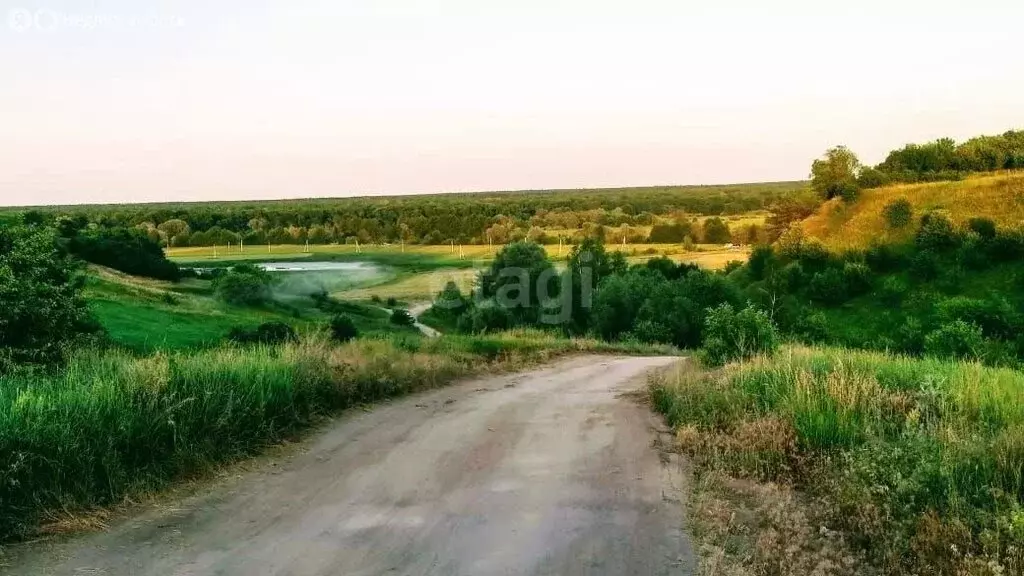 Участок в село Берёзово, Студенческая улица (15.1 м) - Фото 1